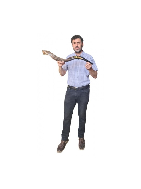 קרן קודו תימני שופר בהתאמה אישית רשום... | שופרות תימנים